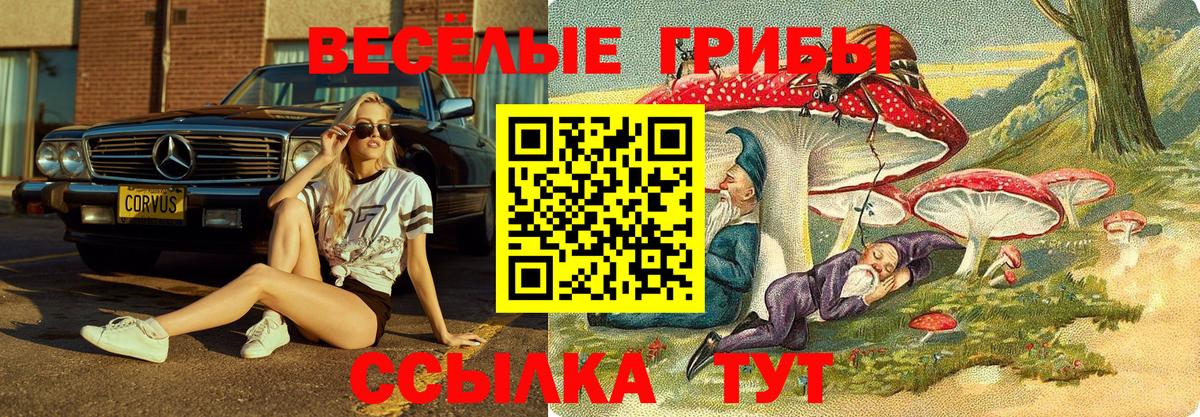 Таганрог  Галлюциногенные грибы мухоморы  Псилоцибиновые грибы мухоморы  Вход с VPN 