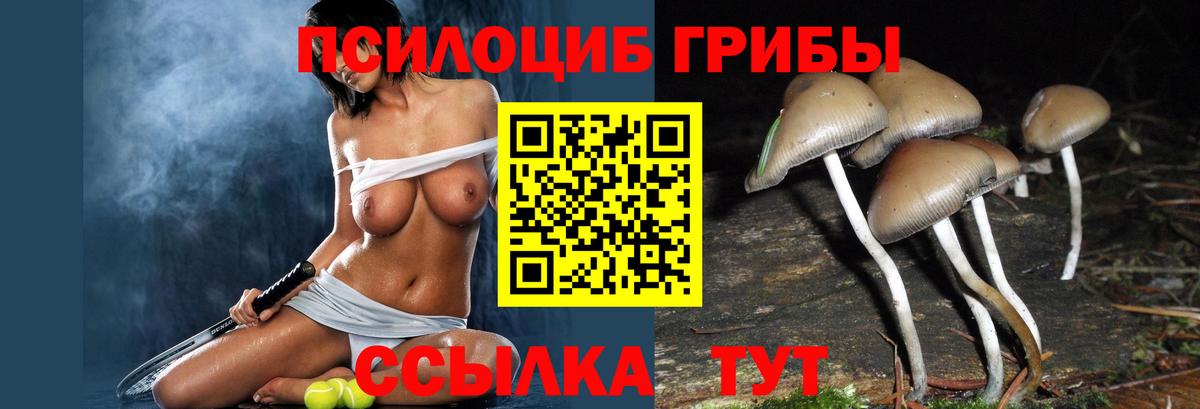 Псилоцибиновые грибы MAGIC MUSHROOMS Таганрог